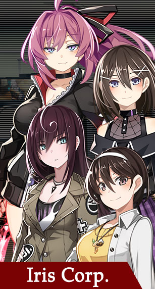 Iris Corp